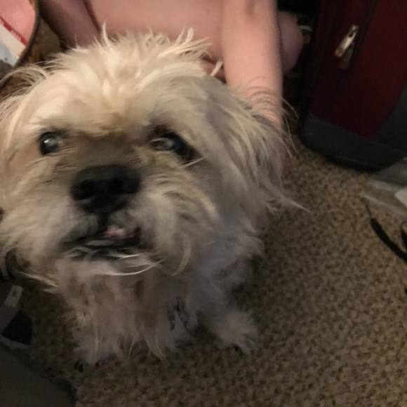 Meet your Posher, Barbara - Picture 1 of 1